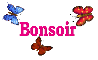 Gif animé bonsoir papillons